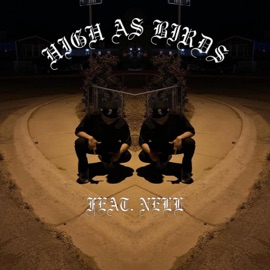 High As Birds (feat. Nell) PROD. POLAROID