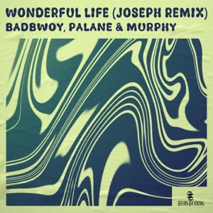 Wonderful Life (JOSEPH Remix) [feat. Murphy] - Single