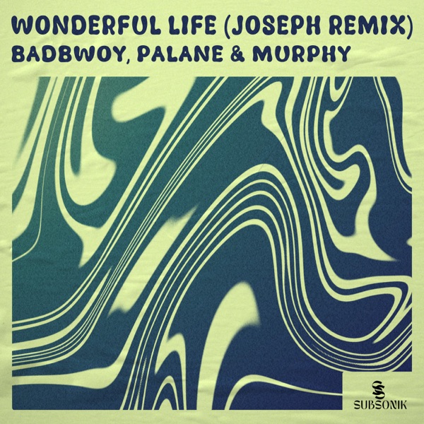 Wonderful Life (JOSEPH Remix) [feat. Murphy] - Single