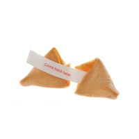 Fortune kookie - Single - N-A FortNight