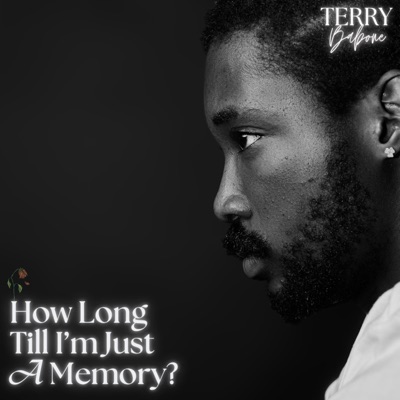 HOW LONG TILL I'M JUST A MEMORY? - Single
