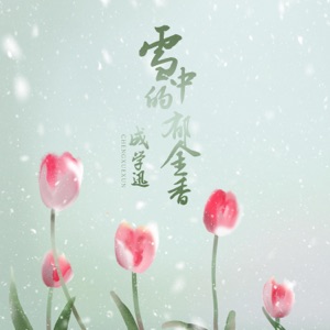 雪中的鬱金香 - Single