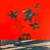Flight Path