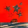 Flight Path
