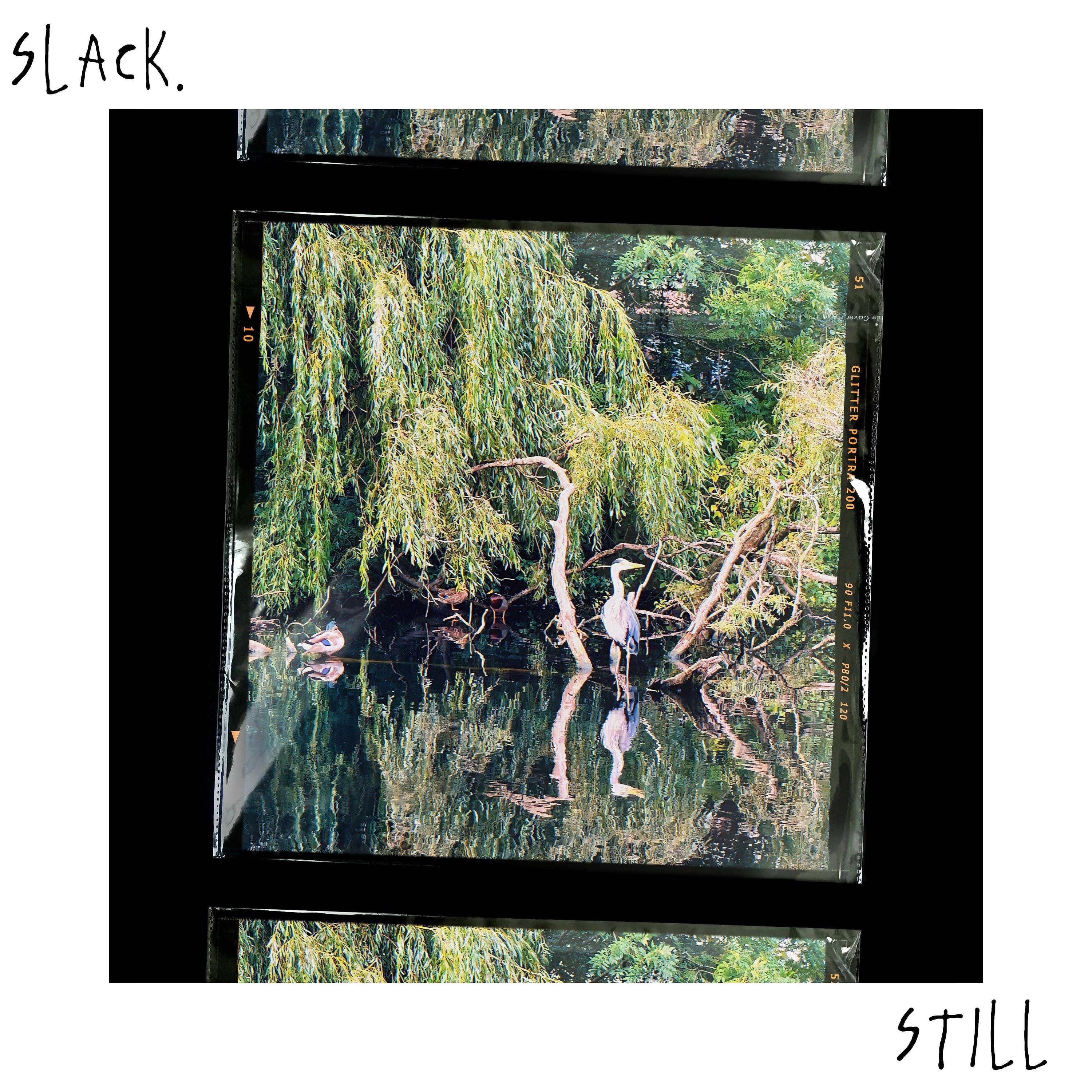 Still - Single