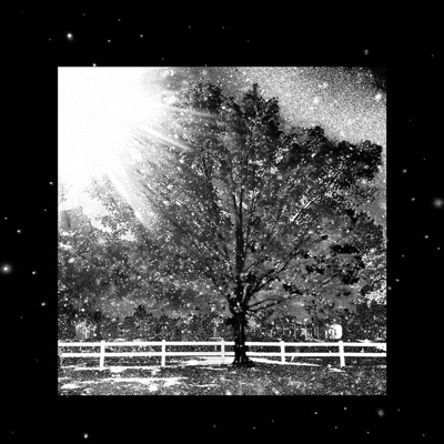 ICE (CHINGA LA MIGRA REMIX) [Remix] - Single