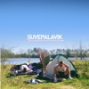 Suvepalavik - Single