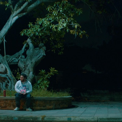 luz, vol. 1 - Single