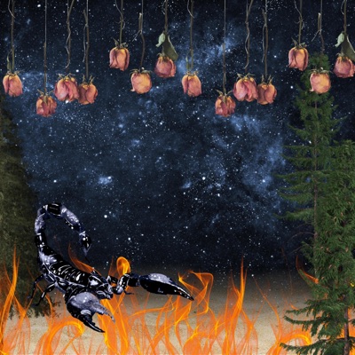 Don't Look Back In The Wilderness