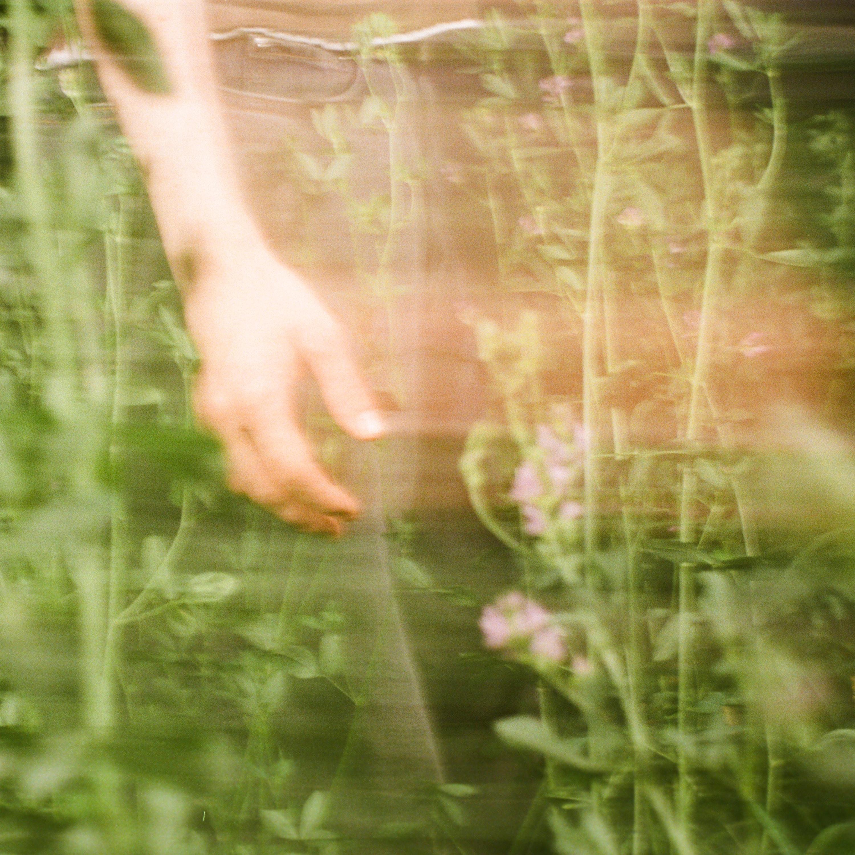 summer rain - Single