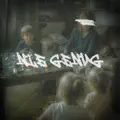 Nie genug