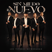El Soltero song art