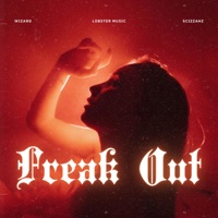 Freak Out - Single - Wizard & Scizzahz