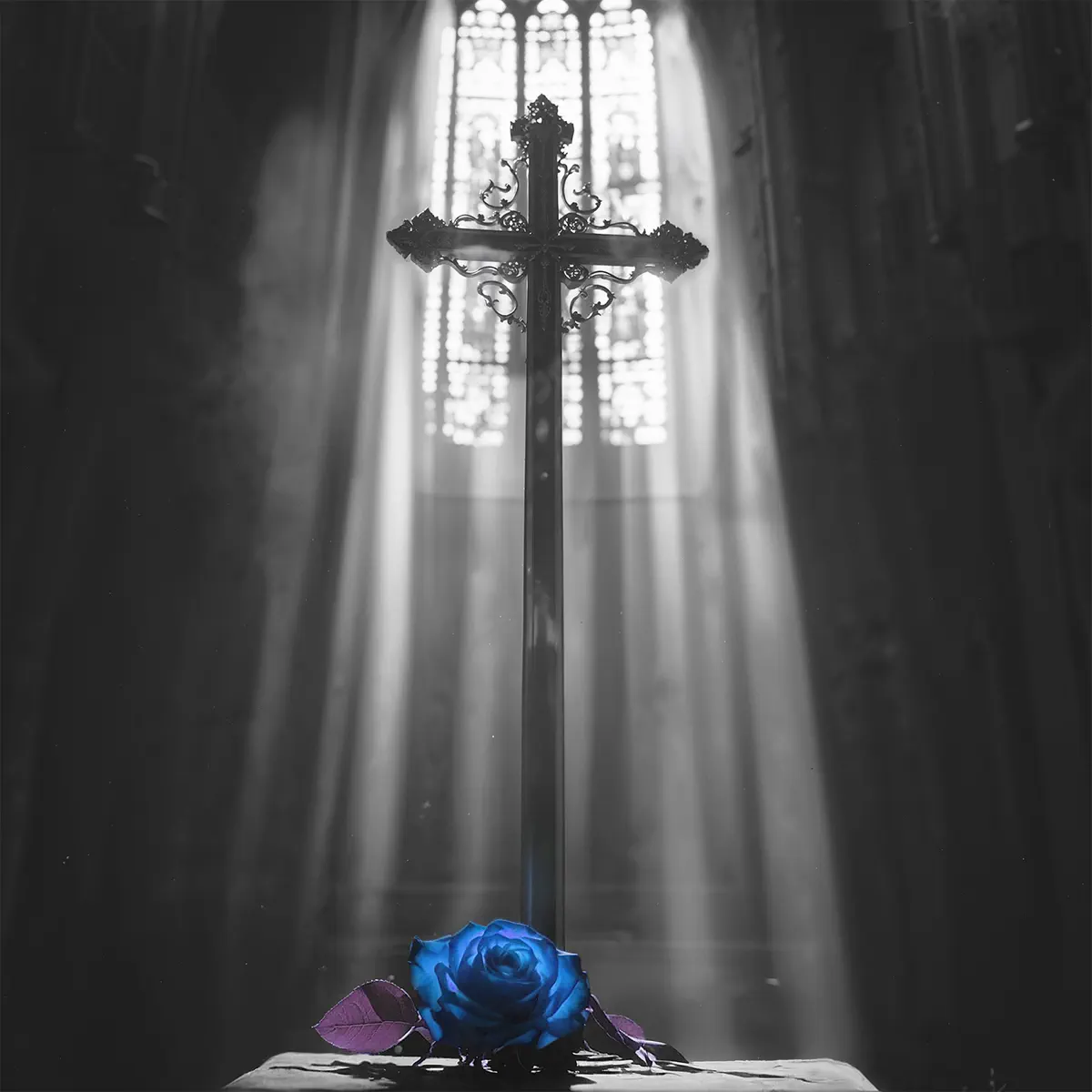 Ava Max - Lost Your Faith (SONIKKU Remix) [feat. SONIKKU] - Single (2025) [iTunes Plus AAC M4A]-新房子