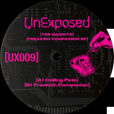 TER BANDITS : FREAKISH COMPANION EP (feat. Ter Bandits) - Single