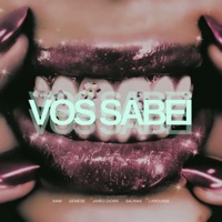 Vos sabei - Single - Xiam