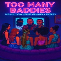 Too Many Baddies (feat. Hembe_genaro & Tweezy) - Single - Melusi Yx3