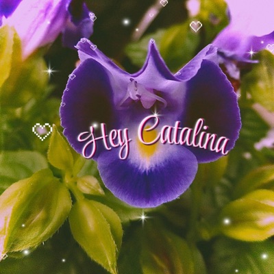 HEY CATALINA - Single