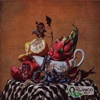 100% Orgânico - Blunt²