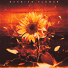 HANA - Burning Flower アートワーク