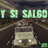 Y si Salgo artwork