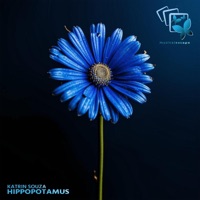 Hippopotamus - Single - Katrin Souza
