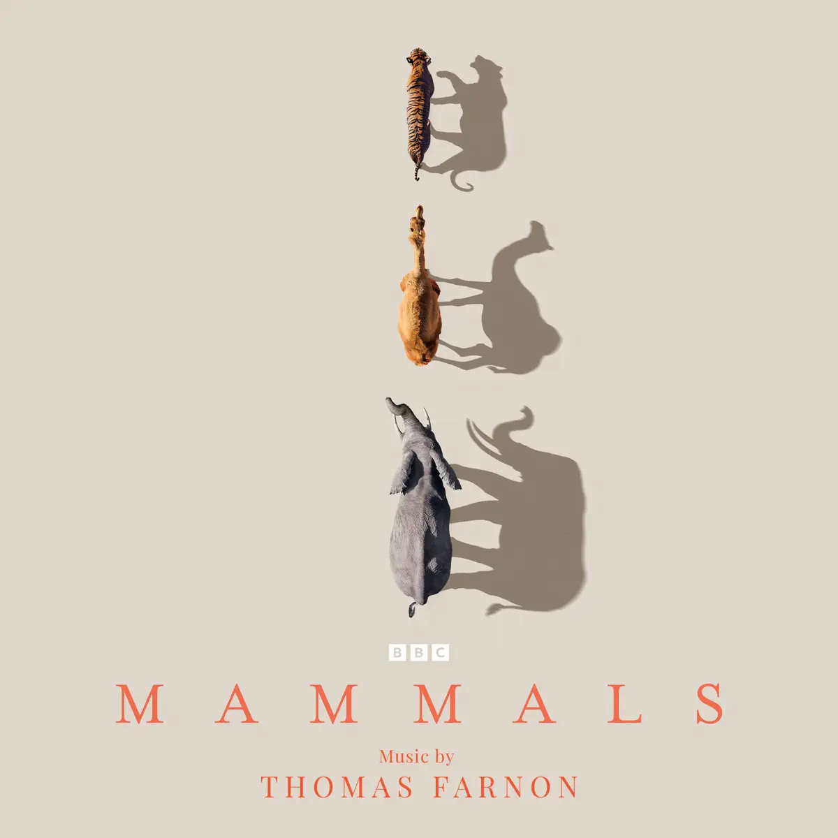 Thomas Farnon - 哺乳动物星球 Mammals (Original Television Soundtrack) (2024) [iTunes Plus AAC M4A]-新房子