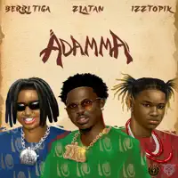 Tiga, Zlatan, Izztopik — Berri
