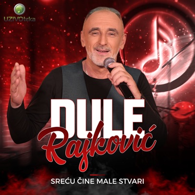 Song - Srecu cine male stvari (Cover) - Dule Rajkovic