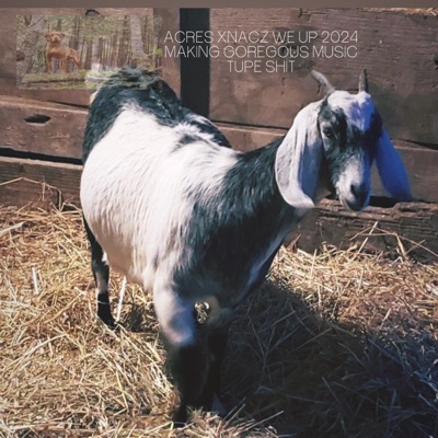 fall asleep (feat. acres18) - Single