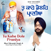 Tu Kahe Dole Praniya - Bhai Vikramjit Singh Ji
