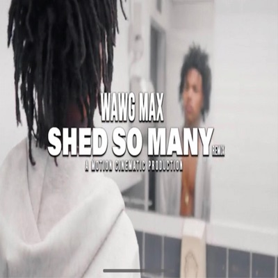 Shed So Many - Single