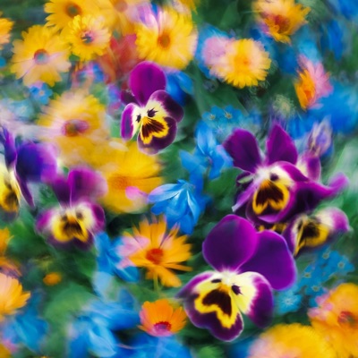 Midnight City - Slowed - Single