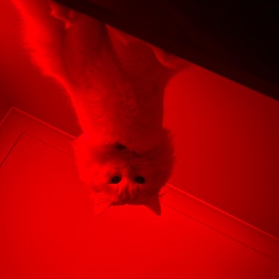 Turn Off the Lights - Single