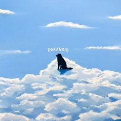 Paranoid - Single