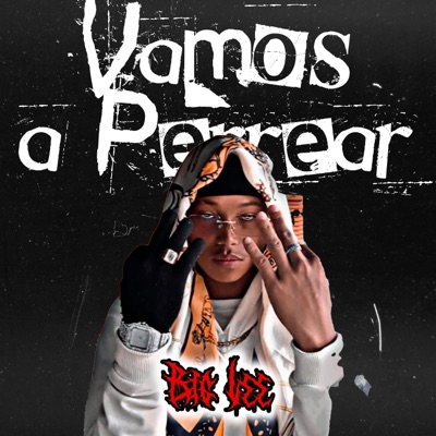 Vamos a Perrear (feat. Big Lee) - Single