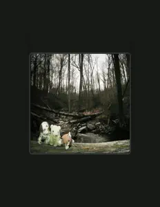 Listen to Gonerville, watch music videos, read bio, see tour dates & more!