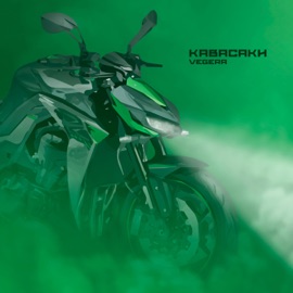 КАВАСАКИ VEGERA