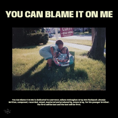 You Can Blame It On Me - Single