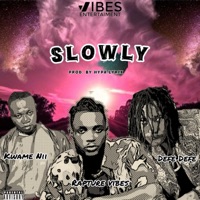 Slowly (feat. Kwame Nii x Defe Defe) - Single - Rapture Vibes