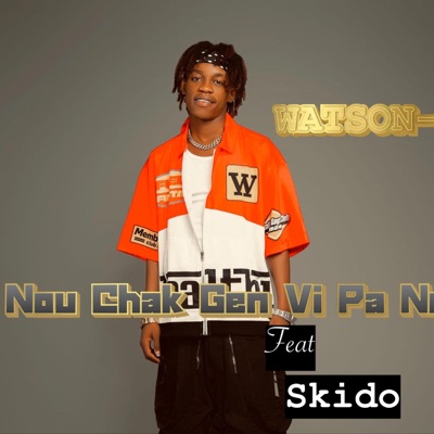 Nou Chak Gen Vi Pa Nou (feat. Skido) - Single