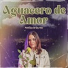 Aguacero de amor