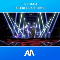 Foleja E Dashurise - Single - Art Media + & Evzi Kaja