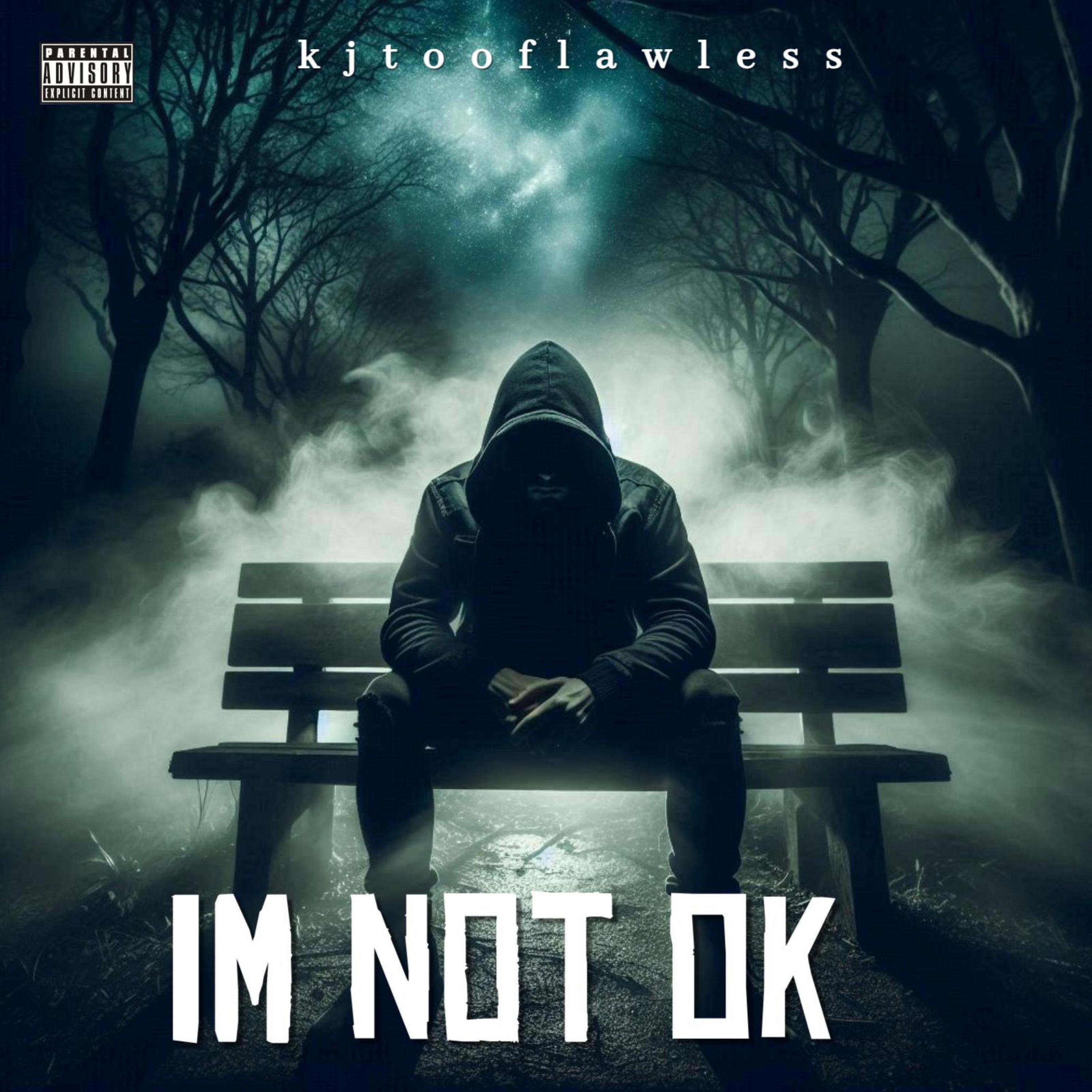 im not ok - Single