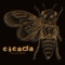 Cicada - Leeland Batts lyrics