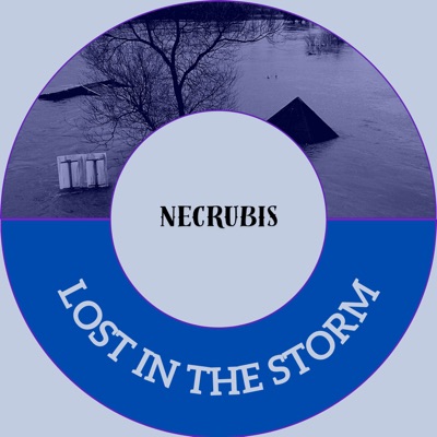 Lost in the storm - Single