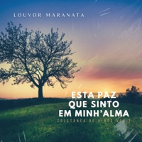 Esta Paz Que Sinto em Minh'alma: Coletânea de Hinos, Vol. 7 - Louvor Maranata