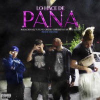Lo Hace de Pana - Single - WalkerDiazz, Brokenstar & Plaketa