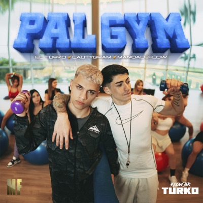 PAL GYM cover art