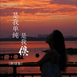 是我单纯是我傻 胖球鱼